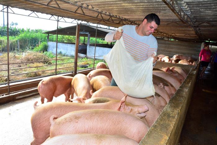 La Ciencia detrás del Sabor: Desentrañando los 3 Secretos de la Carne de Cerdo