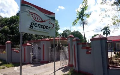 Celebrando el 62º aniversario de la Empresa de Genética Porcina de Cuba
