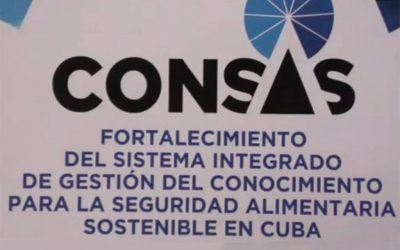 Plan Agrario de Acción Climática (PAAC): ¡Avanzando en la acción climática en Cuba!