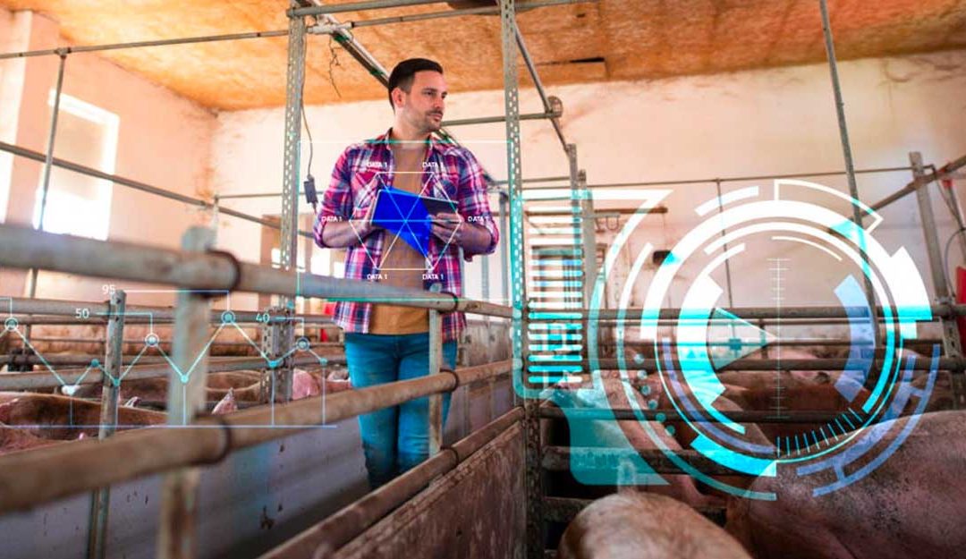 El Futuro de la Producción Porcina: Tendencias e Innovaciones
