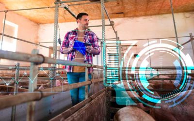 El Futuro de la Producción Porcina: Tendencias e Innovaciones