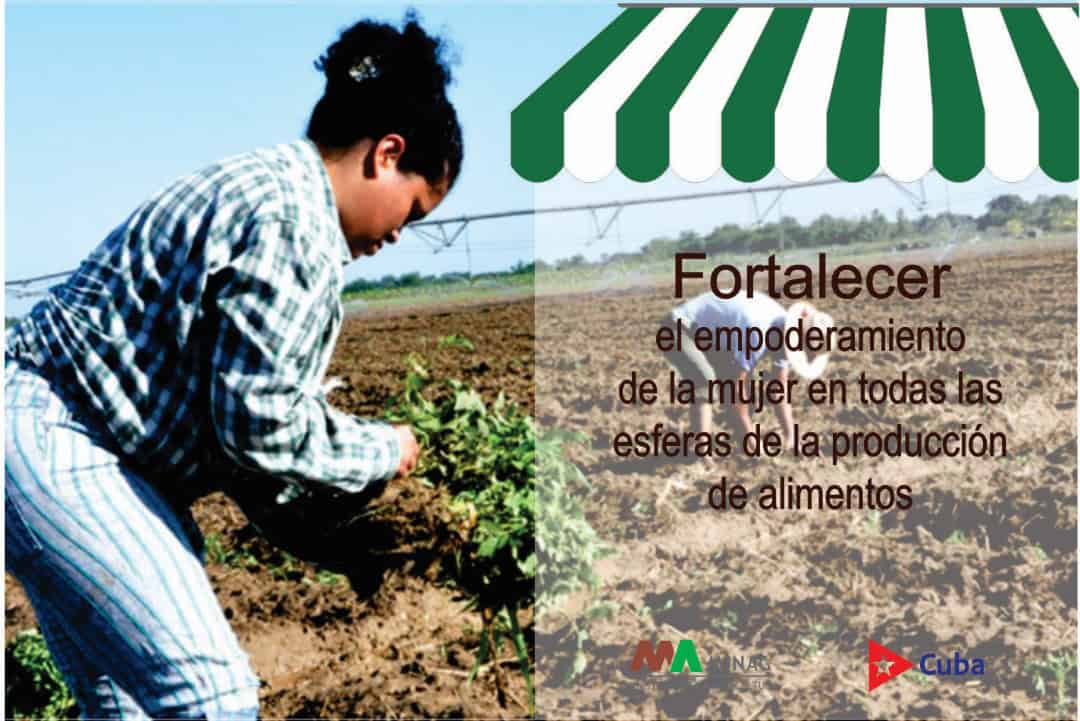 Oportunidad de negocios: Gran Encuentro de Productores y Elaboradores de Alimentos en Rancho Boyeros