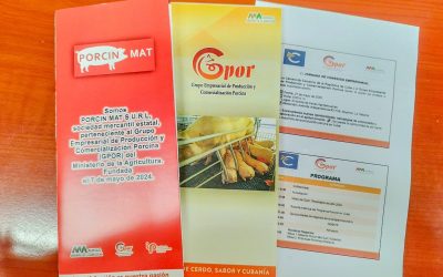 Jornada de Conexión Empresarial: Impulsando el Sector Porcino en Cuba