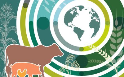 Blog La producción porcina en Cuba ante los desafíos globales: Reflexiones desde el Informe OCDE–FAO 2025–2034